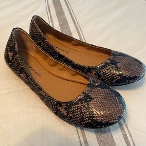 Lucky brand, new worn snake print flats size 9.5